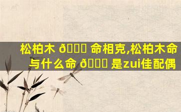 松柏木 💐 命相克,松柏木命与什么命 🕊 是zui
佳配偶